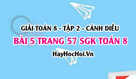 Bài 5 trang 57 Toán 8 Tập 2 Cánh Diều